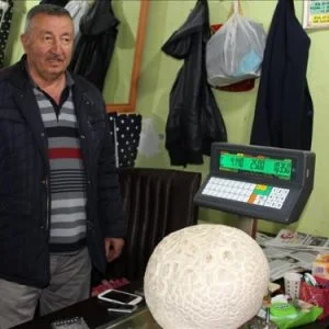 في تركيا فطر عملاق يزن 4 كغ
