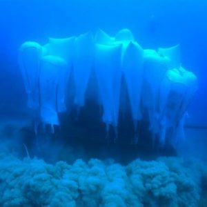 إغراق دبابة تركية بالبحر المتوسط 5