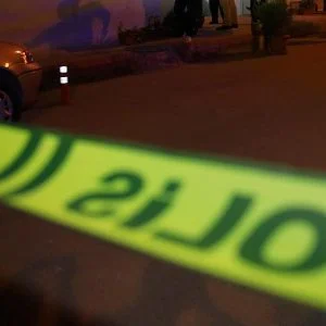 خبير تركي: الدعم الغربي يساعد بي كا كا الارهابية لإدامة وجودها