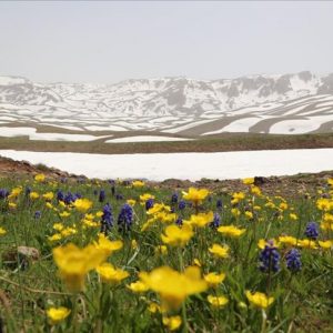 “أغري غول”.. بحيرة تركية تتيح لزوارها التنزه وسط الأزهار والثلوج والأنهار معاً