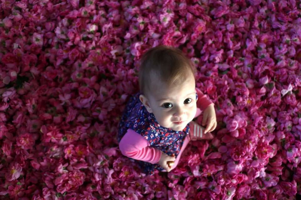 إسبرطة.. جنة النباتات العطرية في تركيا 4 إسبرطة.. جنة النباتات العطرية في تركيا 3