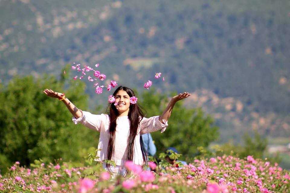 إسبرطة.. جنة النباتات العطرية في تركيا 8 إسبرطة.. جنة النباتات العطرية في تركيا 7