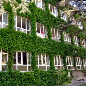 مدرسة تركية تغطي النباتات كافة جدرانها