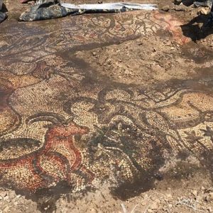 العثور على لوحة فسيفساء عمرها 1600 عام في تركيا