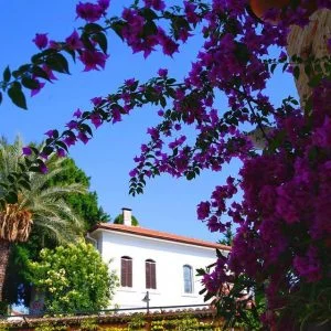 أنطاليا التركية: رائدة تصدير الأزهار إلى العالم