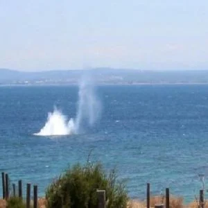 تركيا.. ابطال مفعول لغم بحري من مخلفات الحرب العالمية الأولى