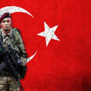 يلدريم: الجيش التركي اليوم أقوى مما كان عليه قبل الانقلاب الفاشل