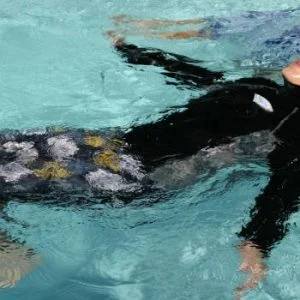 فرنسا تغرم مسلمة تكاليف تنظيف حمام سباحة لارتدائها “البوركيني”