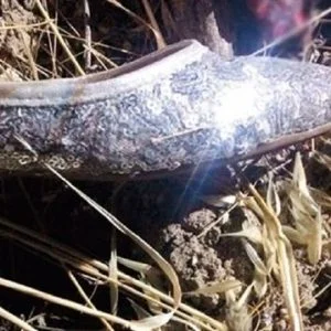 جريمة مروعة في ازمير