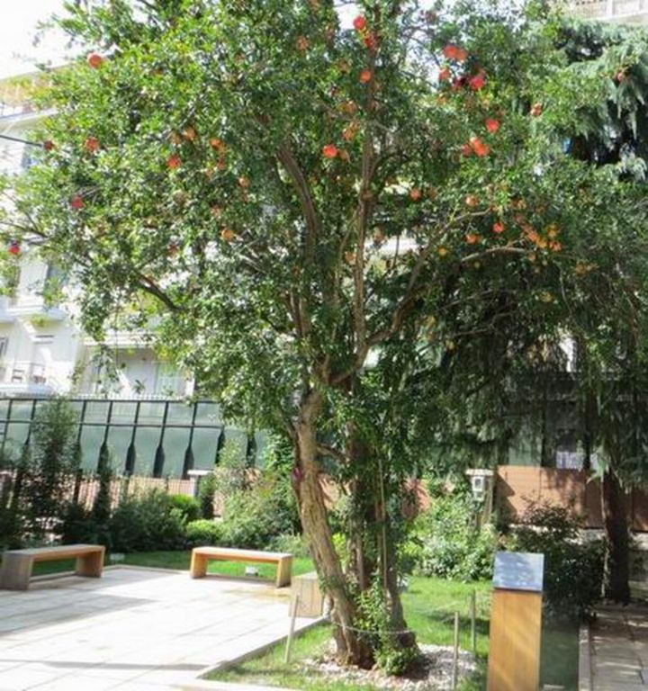 ما قصة المنزل الذى يزوره الاف الاتراك؟.. وماذا يوجد بداخله؟ 10 ما قصة المنزل الذى يزوره الاف الاتراك؟.. وماذا يوجد بداخله؟ 9