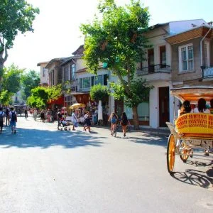 بالصور.. تعرف على حدائق اسطنبول الـ 20 الرائعة