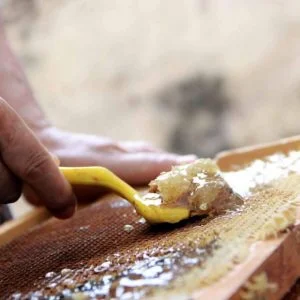 ارتفاع صادرات العسل التركي من شرق البحر الأسود 70 في المئة