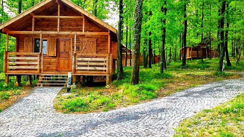 بالصور.. تعرف على حدائق اسطنبول الـ 20 الرائعة 39