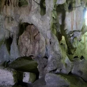 أنطاليا التركية.. العثور على عظام حيوان تعود إلى 350 ألف عام