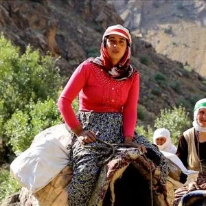 في “وان” التركية.. رحلة شاقة لحلب الأغنام فوق ارتفاع 3 آلاف متر