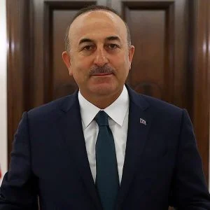 جاويش أوغلو: نسمع تصريحات من ألمانيا تتجاوز الحدود