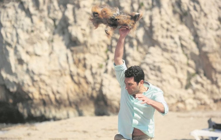 كلب يعض "يلدريم" 3