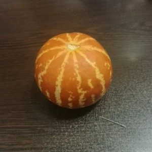 “شمامة” تثير استغراب الاتراك “صور”