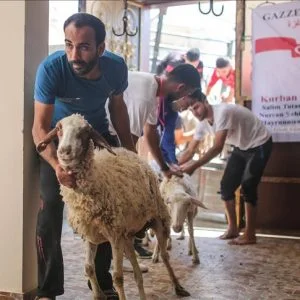 توزيع لحوم أضاح على محتاجين في غزة بمساهمة تركية