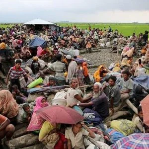 جهود تركية حثيثة لإيصال صوت مسلمي الروهنغيا للعالم