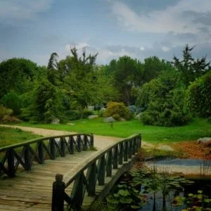 زيادة أعداد “الأيائل الحمراء” في تركيا