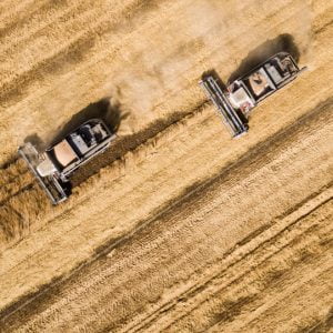 تركيا تشدد قواعد استيراد المنتجات الزراعية من روسيا