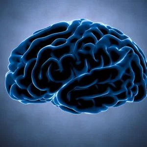 العلماء يتفاجؤون بحقيقة تخص دماغ المرأة