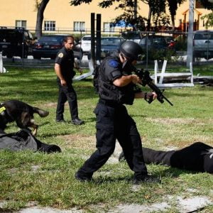 النمسا تفتش ركاب الخطوط التركية بكلاب بوليسية.. وانقرة تحتج