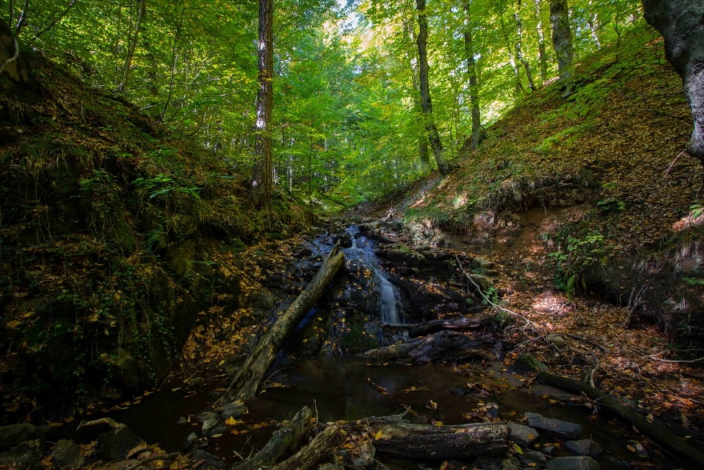 جبال دومانيتش.. لوحة ساحرة تلتحف ألوان الخريف غربي تركيا 11