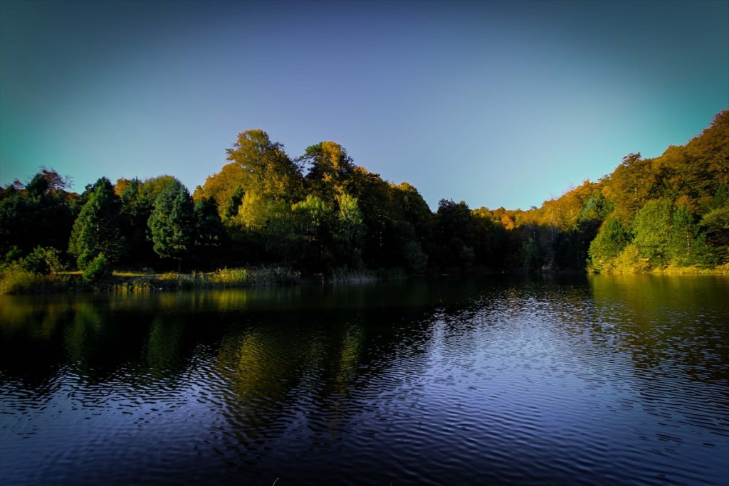 جبال دومانيتش.. لوحة ساحرة تلتحف ألوان الخريف غربي تركيا 5