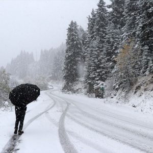 ألوان الخريف والثلوج ترسم لوحات ساحرة في غابات “بولو” التركية