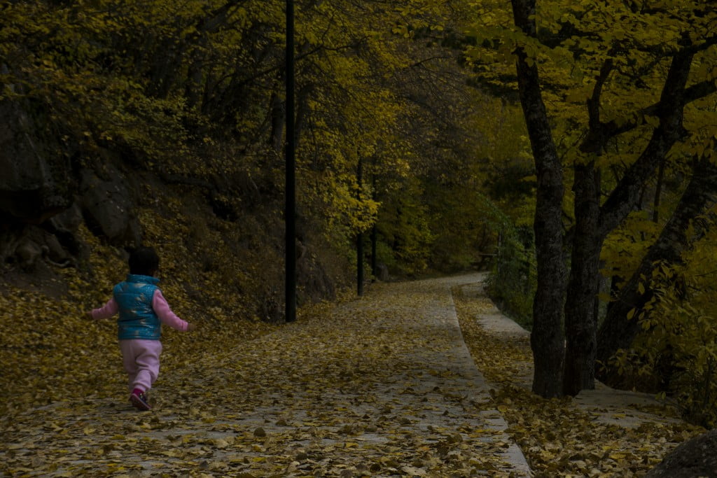 ألوان الخريف تزيّن حديقة “كارا غول” في أنقرة وتزيدها سحرا وجمالا ! 9