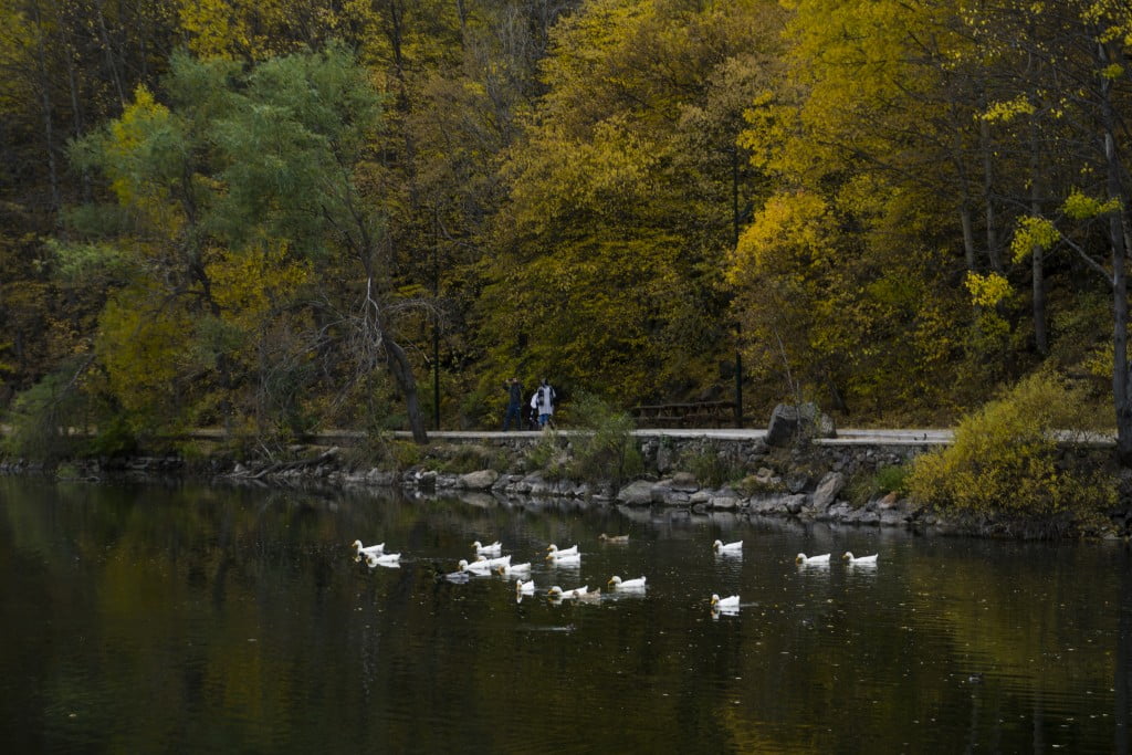 ألوان الخريف تزيّن حديقة “كارا غول” في أنقرة وتزيدها سحرا وجمالا ! 1
