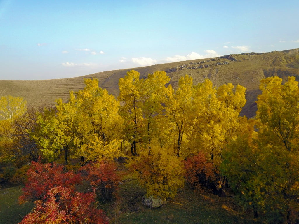 إغدير..جمال خريفي مزدان بألوان الطبيعة ! 5