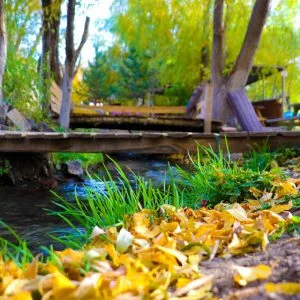 إغدير..جمال خريفي مزدان بألوان الطبيعة !