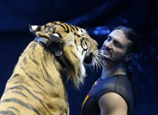 شاهد.. مدرب حيوانات روسي يظهر كمحلل سياسي بقناة تركية 5