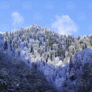 أضفت الثلوج جمالا مختلفا على جمال المنطقة الشهيرة بولاية ريزة