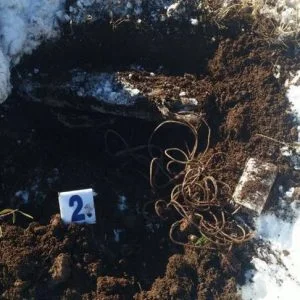 الأمن التركي يعثر على 3 عبوات ناسفة ويفجرها جنوب شرقي البلاد