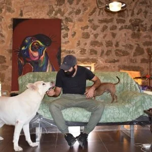 وللكلاب فندق خاص في لبنان 