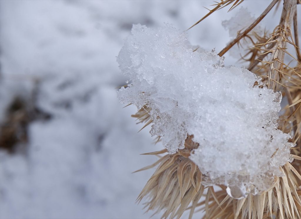 ثلج وبحر.. في أنطاليا التركية "صور" 13
