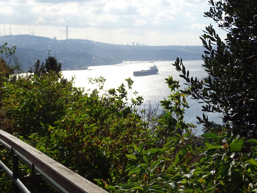 بالصور|| ألوان الخريف تعانق شتاء إسطنبول 3