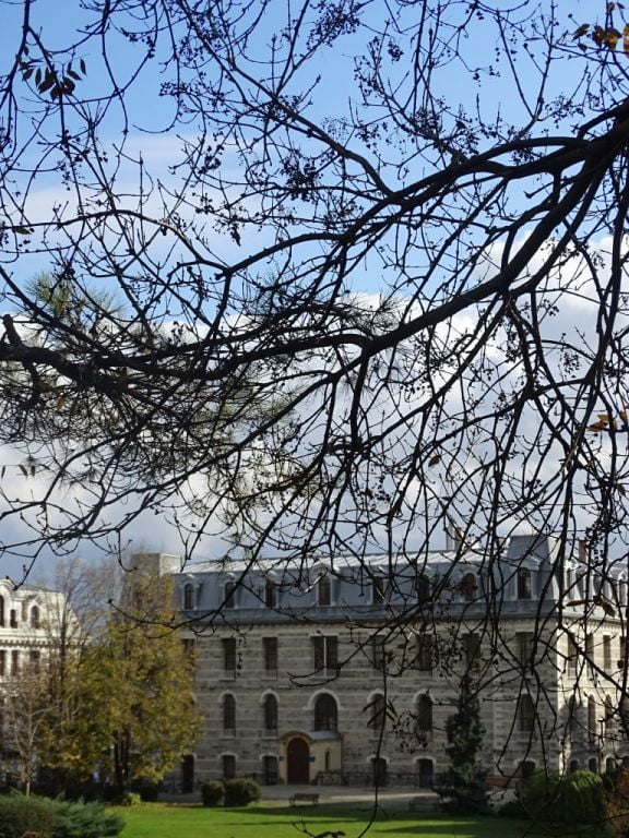 بالصور|| ألوان الخريف تعانق شتاء إسطنبول 5