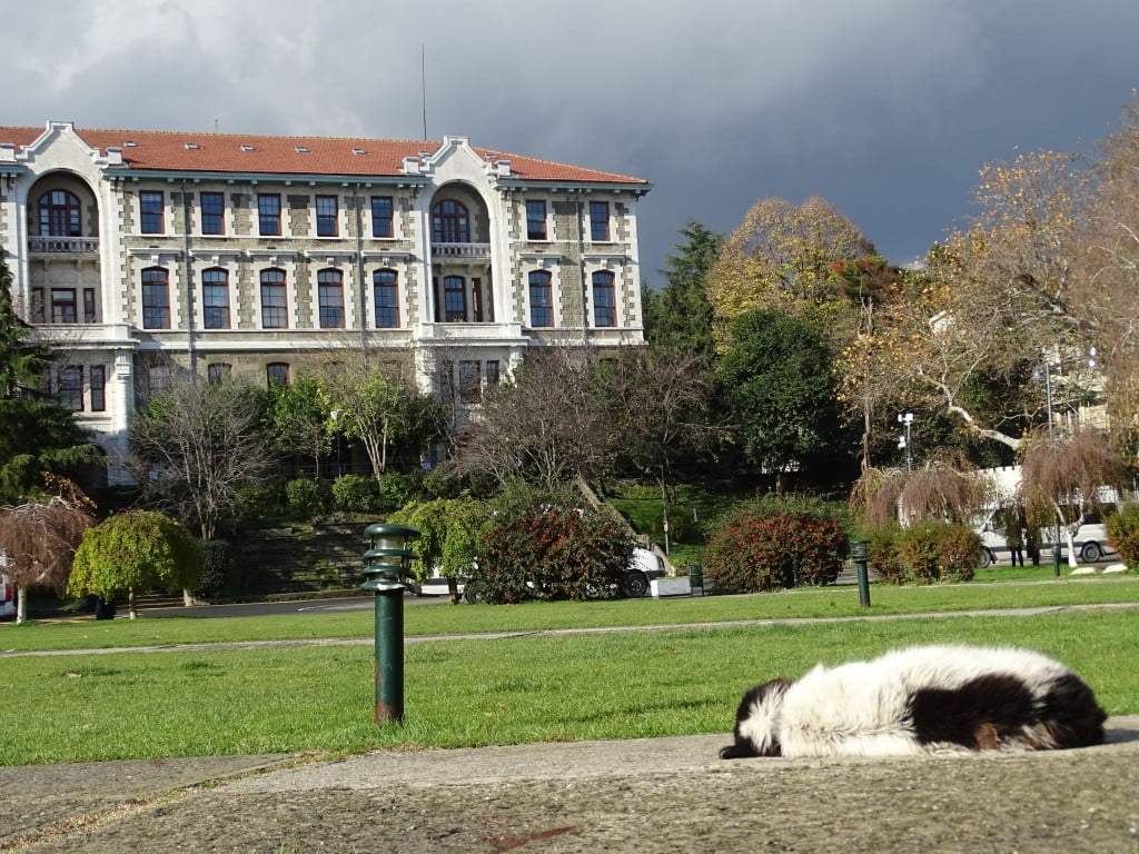 بالصور|| ألوان الخريف تعانق شتاء إسطنبول 10 بالصور|| ألوان الخريف تعانق شتاء إسطنبول 9