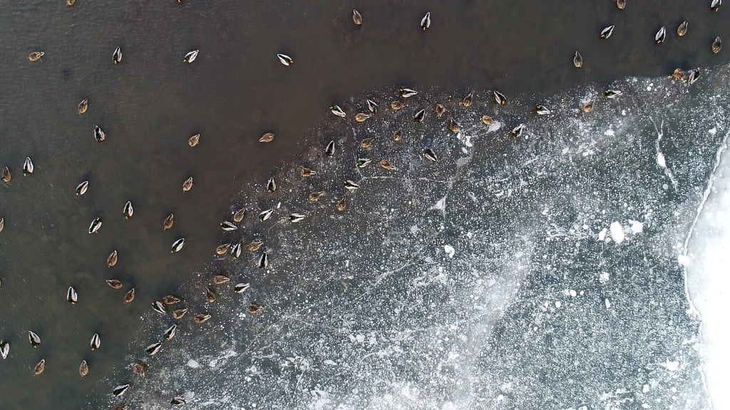 مناظر خلابة لتجمد “بحيرة البط ” شمال شرقي تركيا 3