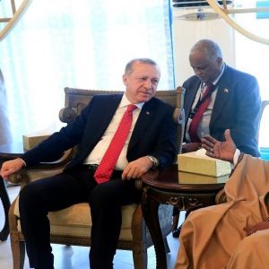 السودان يعرض على تركيا زراعة مليون فدان