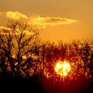 5 فوائد للمذاكرة في الصباح