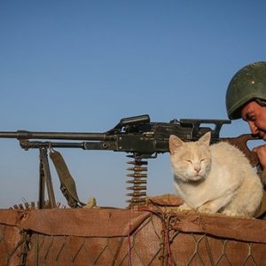 الجيش التركي يفتح تحقيقاً بحق جندي لتعذيبه قطة