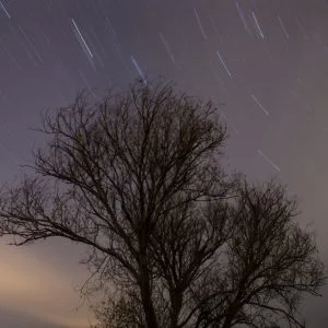 بالصور| زخات “شهب التوأميات” تزيّن سماء تركيا