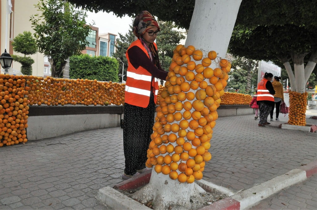 تركيا .. 30 طنا من الحمضيات تزين مهرجانا في مدينة هطاي 1