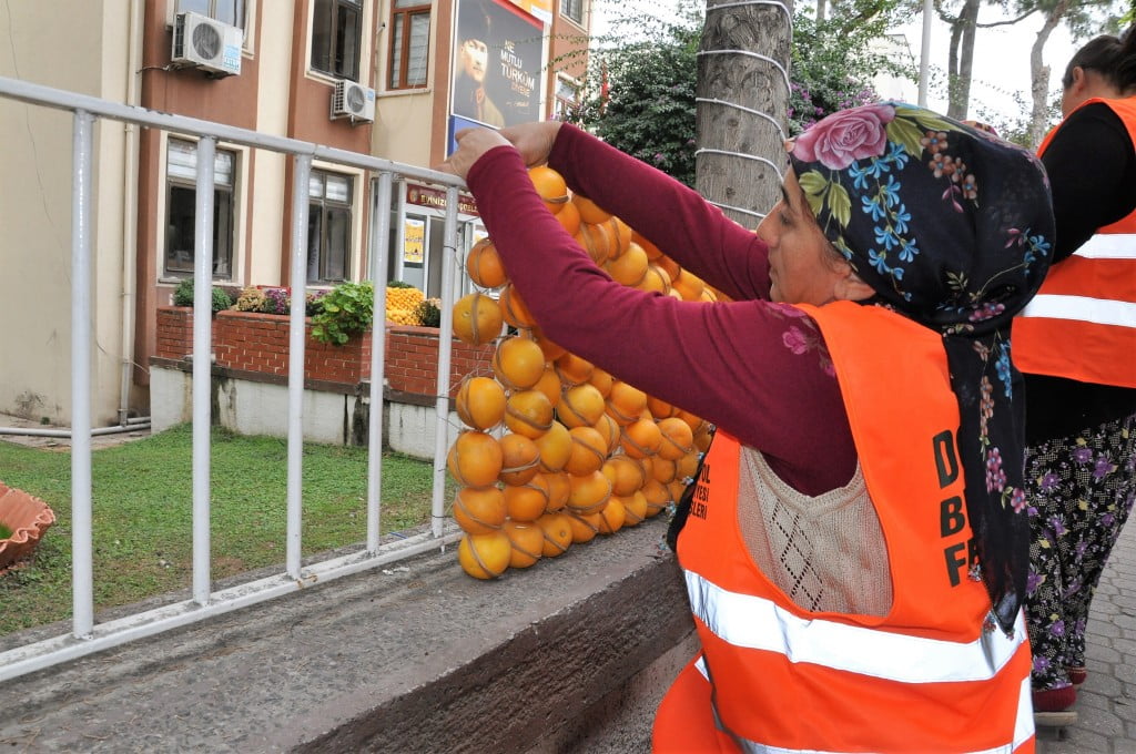تركيا .. 30 طنا من الحمضيات تزين مهرجانا في مدينة هطاي 3